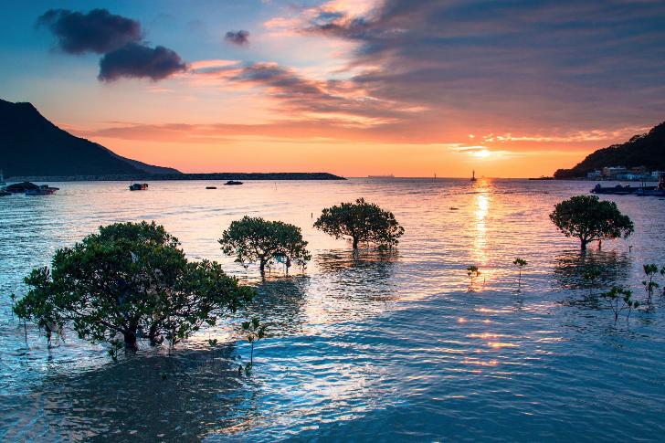 Image result for Hong Kong Tourism Board launches great outdoors campaign